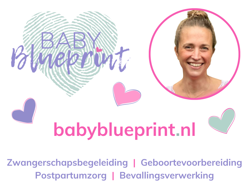 Baby Blueprint