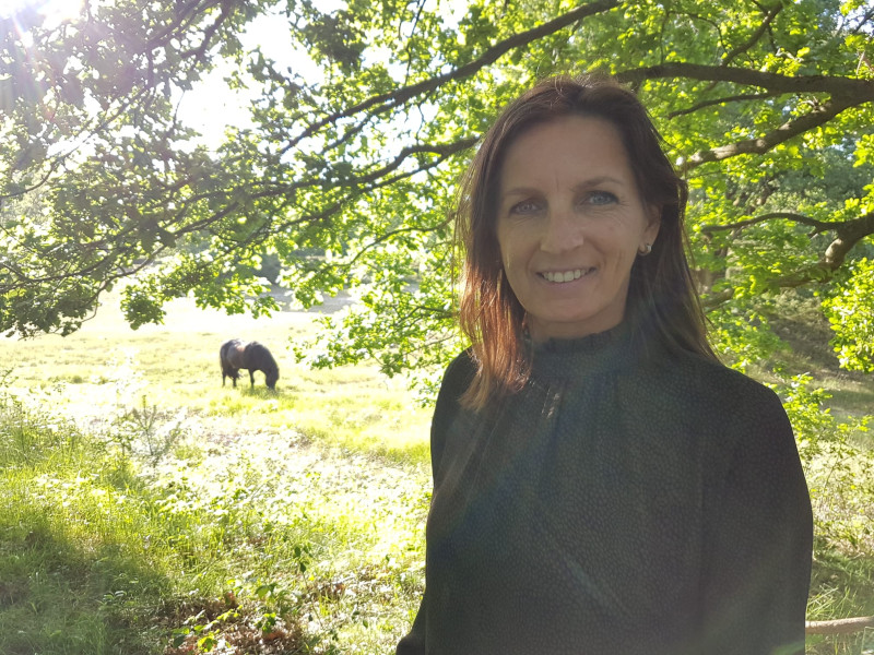 Anke Verstappen Coaching