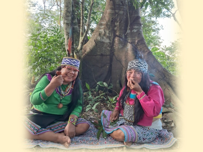 PachaMama School Organization