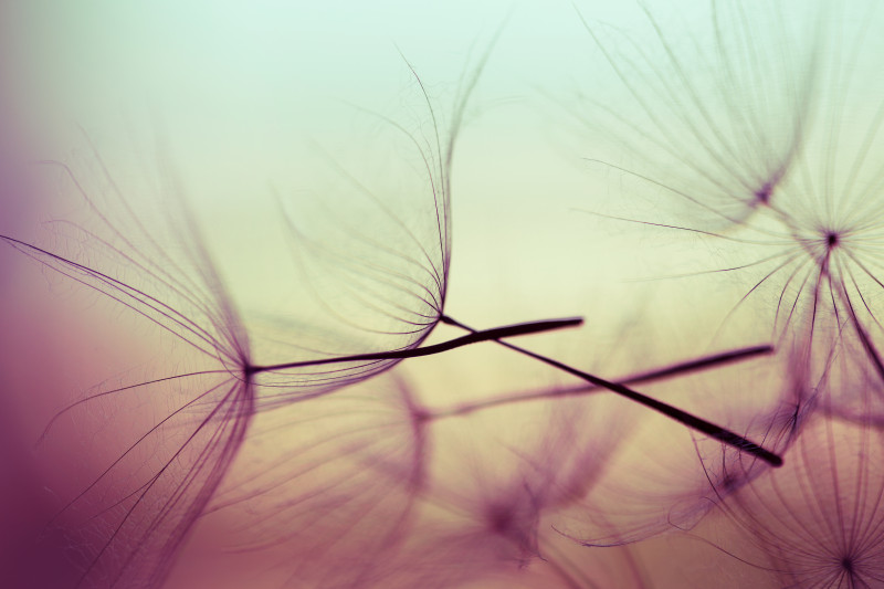 Monique Giesen - Coaching & Retreats