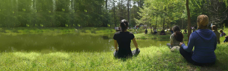 Sangha Den Haag (meditatiegroep)