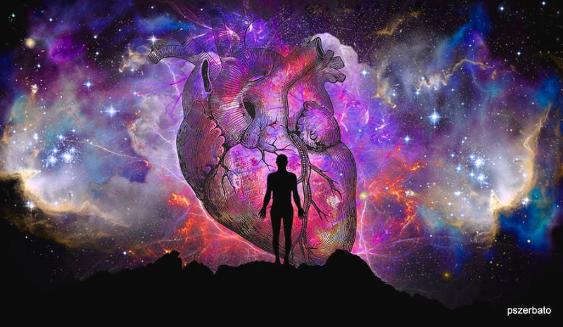 Miracle Life - Hipsy