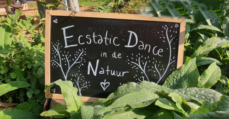 Ecstatic Dance Utrechtse Heuvelrug