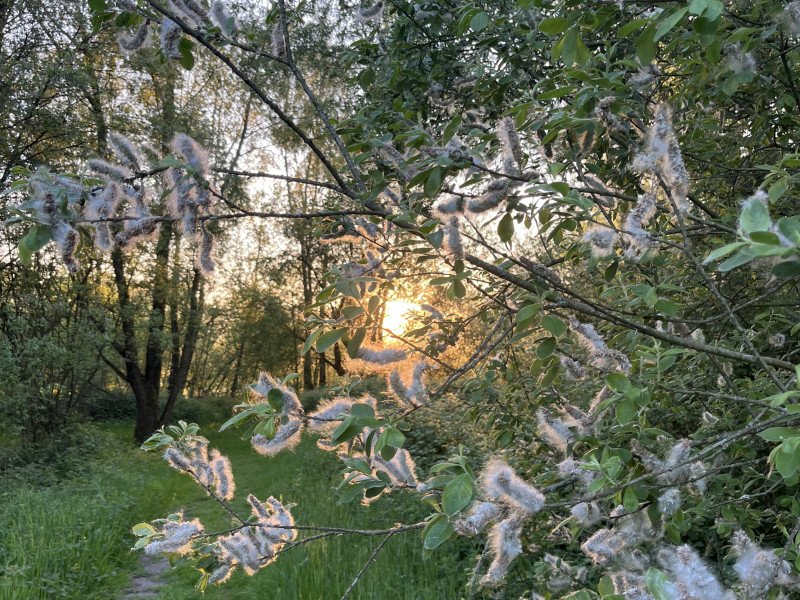 Carlijne Natuurlijk