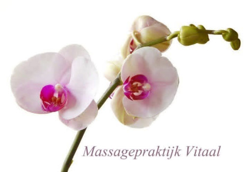 Massagepraktijk Vitaal Groningen