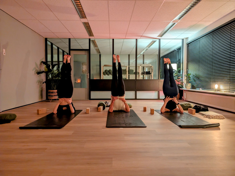 Lotus Art Yoga