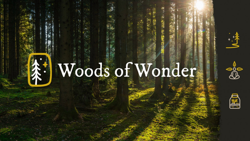 Woods of Wonder