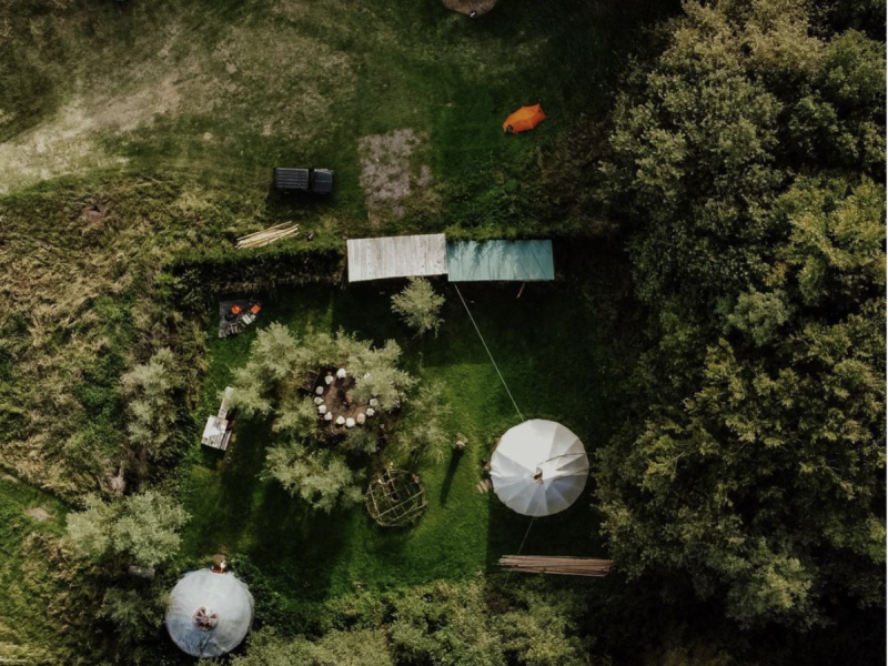 The Nature Collective
