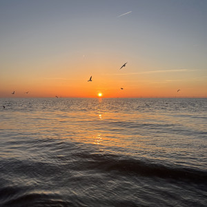 photo gallery image 01