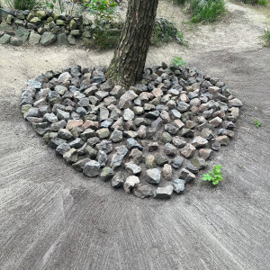 photo gallery image 01