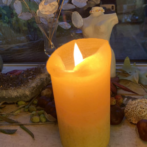 photo gallery image 01