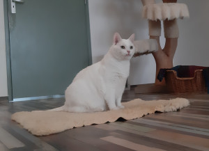 photo gallery image 01