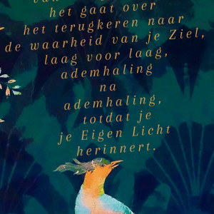 photo gallery image 01