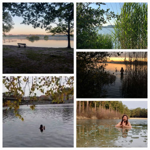 photo gallery image 01