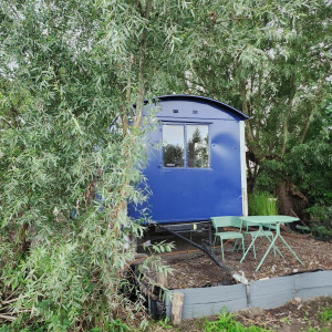photo gallery image 01