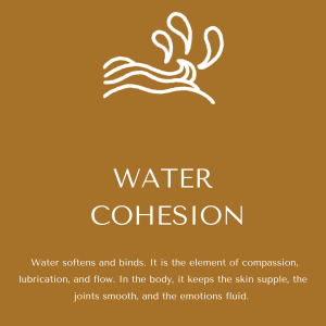 photo gallery image 01