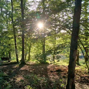 photo gallery image 01