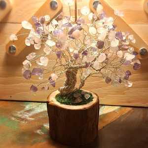 photo gallery image 01