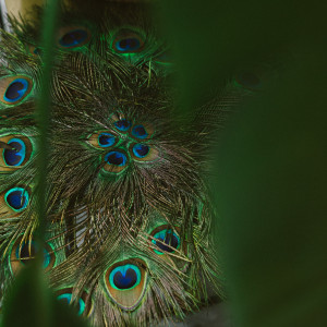 photo gallery image 01