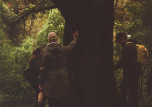photo gallery image 01