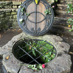 photo gallery image 01