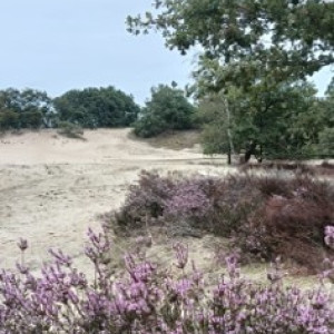 photo gallery image 01
