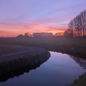 photo gallery image 01