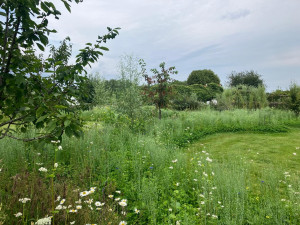 photo gallery image 01