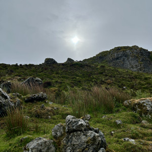 photo gallery image 01