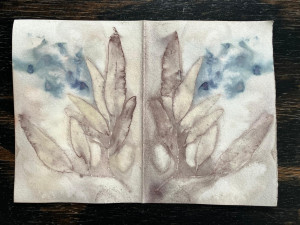 photo gallery image 01