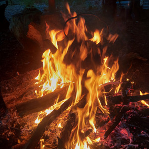 photo gallery image 01