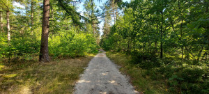 photo gallery image 01
