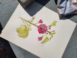 photo gallery image 01