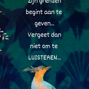 photo gallery image 01