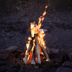 photo gallery image 01