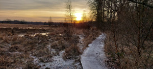 photo gallery image 01