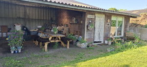 photo gallery image 01
