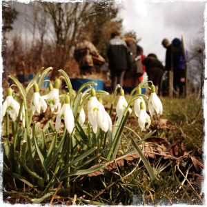 photo gallery image 01