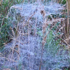 photo gallery image 01