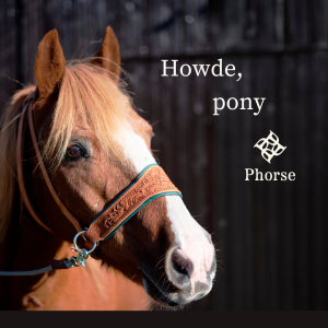 photo gallery image 01