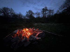 photo gallery image 01