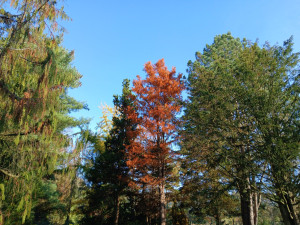 photo gallery image 01