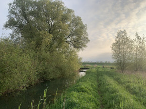 photo gallery image 01