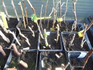 photo gallery image 01