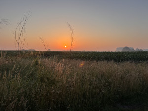 photo gallery image 01