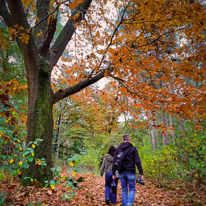 photo gallery image 01