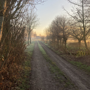 photo gallery image 01