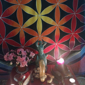 photo gallery image 01