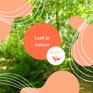 photo gallery image 01