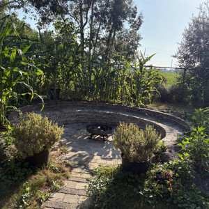 photo gallery image 01